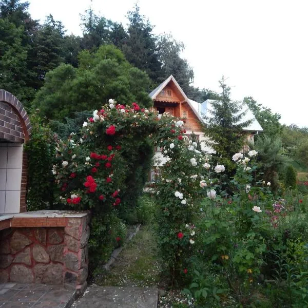 Pensiunea Paradis, hotel v destinaci Borobăneşti