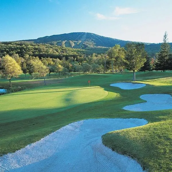 The Black Bear Lodge at Stratton Mountain Resort, hotel sa Stratton Mountain