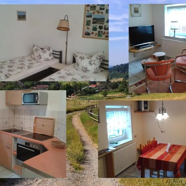 FeWo Am Neckarsteig, hotel in Neckarsteinach