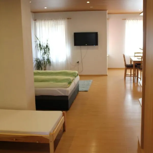 Apartmán v dobré lokalitě, hotel in Brno