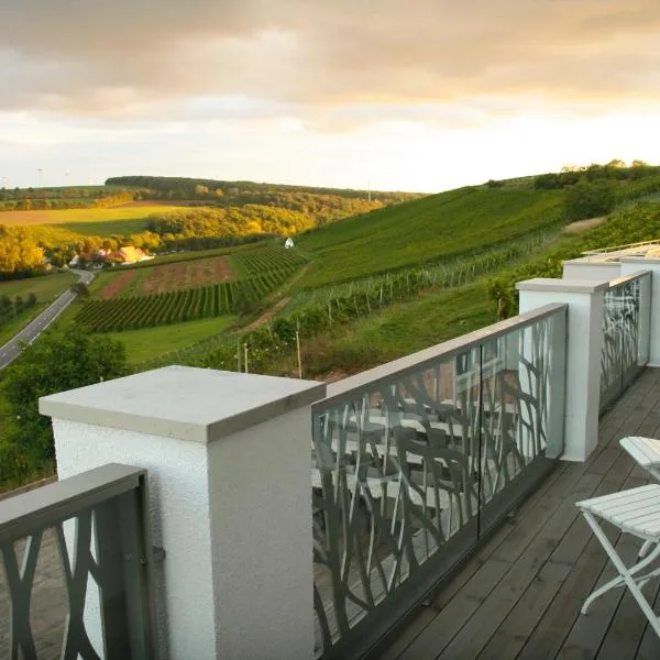 Winzerhotel Trautwein, hotell sihtkohas Flonheim