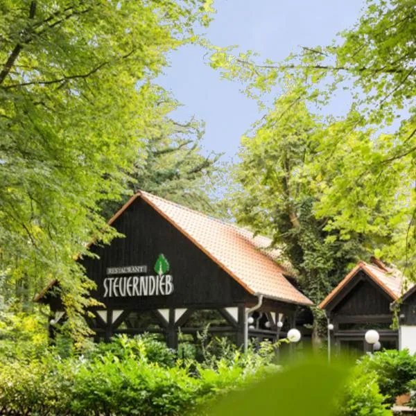 Restaurant & Logis Steuerndieb, hotel v destinaci Hannover