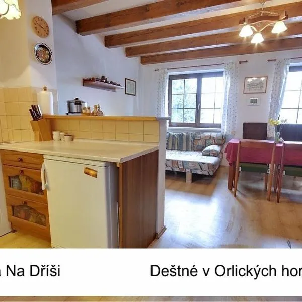 Chata Na Dříši, hotel in Deštné v Orlických horách