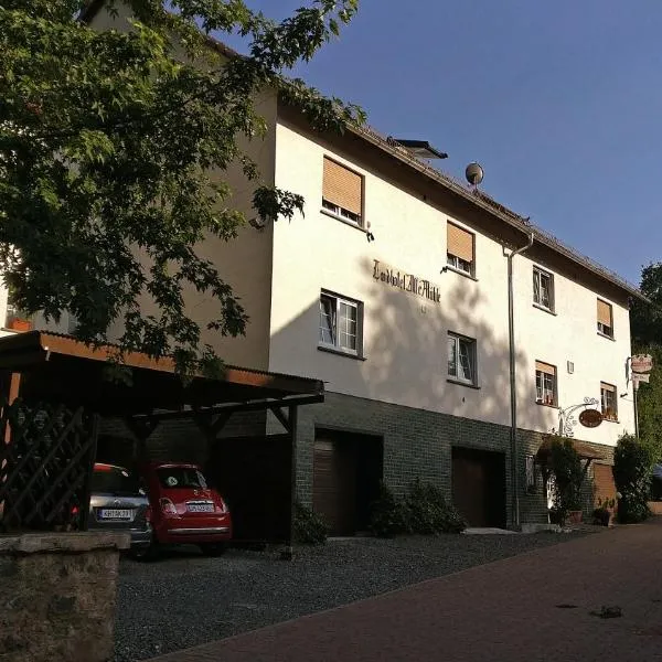 Landhotel Alte Mühle, hotel v destinaci Modautal