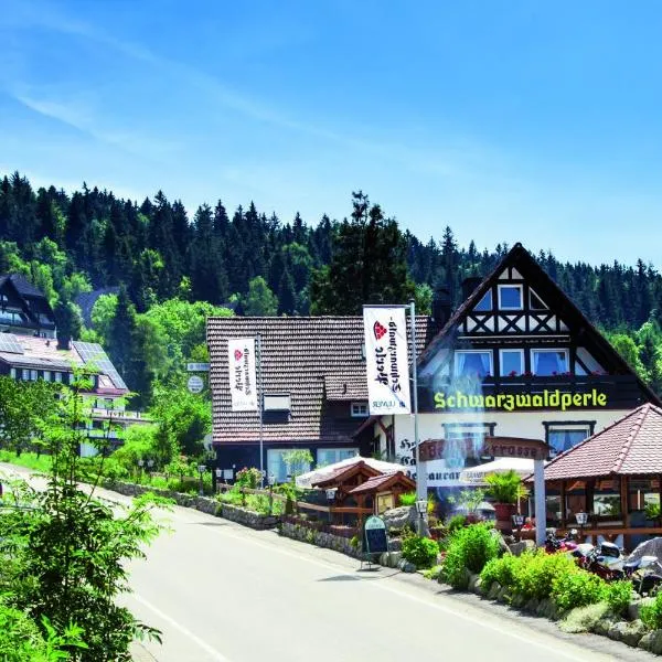 Hotel-Berggasthof Schwarzwaldperle，薩斯巴瓦爾登的飯店