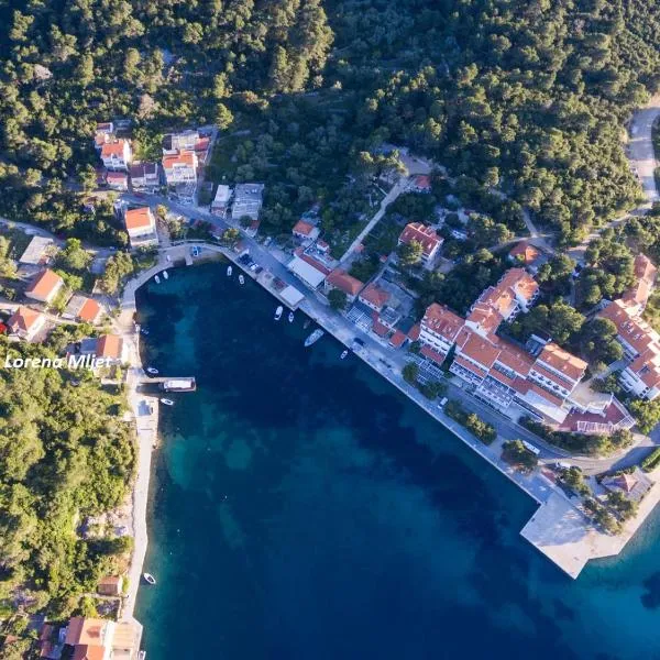 Apartments Lorena Mljet, hotel in Pomena