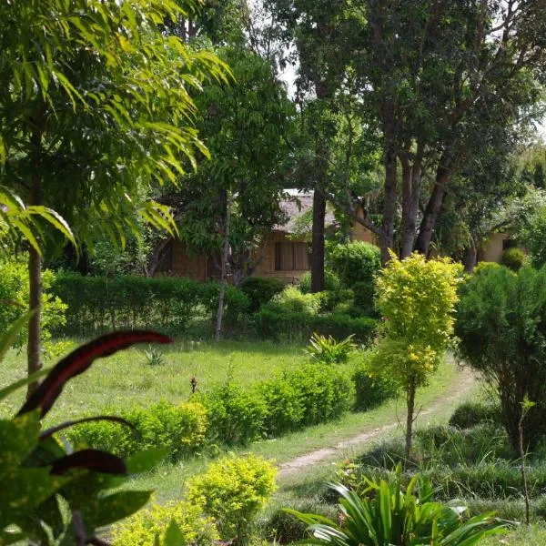 Jungle Base Camp, hotel v destinaci Bardiyā