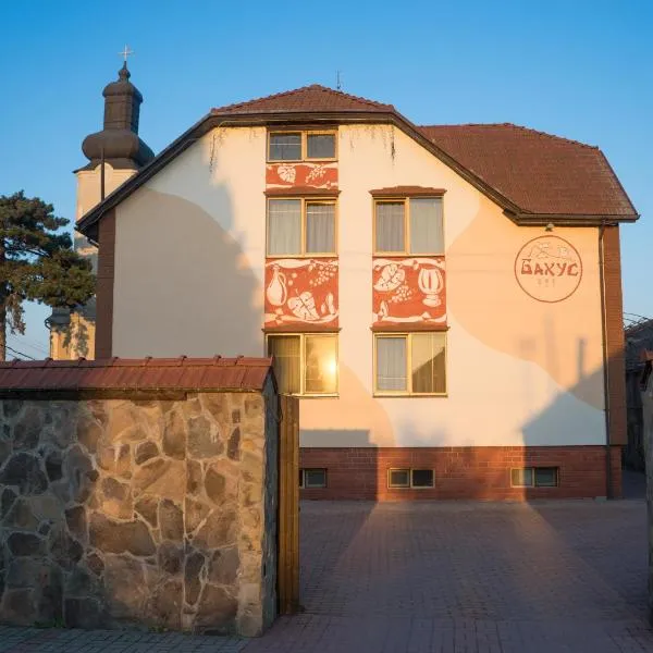 Hotel Complex Bahus, hotel v Užhorodu