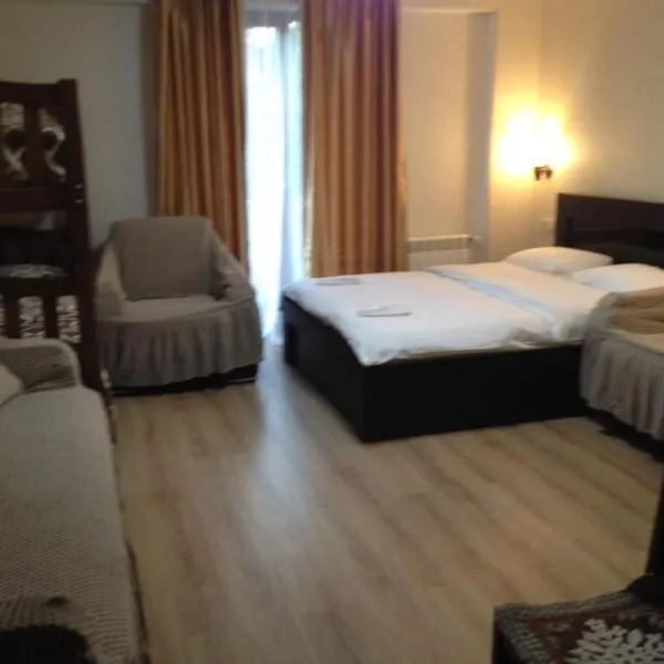 David APT on Bakuriani Orbi Palace, hotel v destinaci Bakuriani