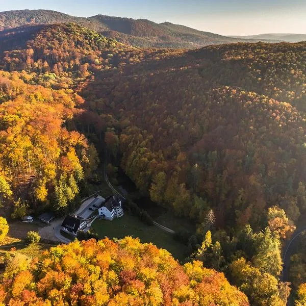 Pénzpataki Vadászház, hotel a Répáshuta