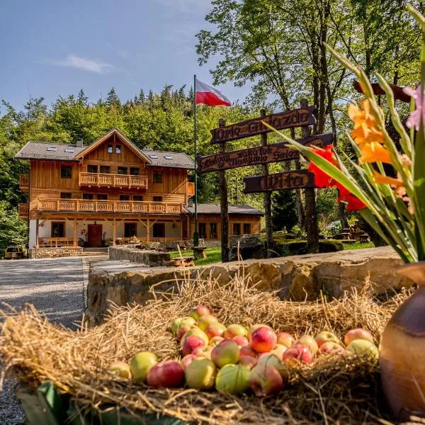 Willa Orle Gniazdo, hotel v destinaci Biała Woda