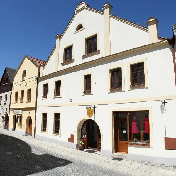 Family, hotel en Domažlice