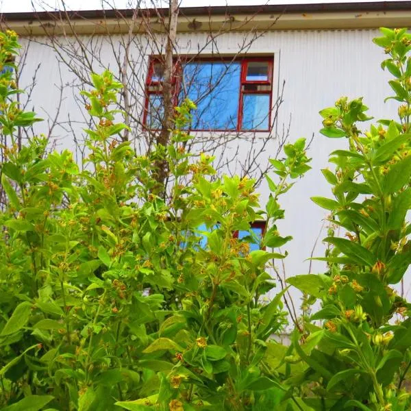 Guesthouse Kálfafellsstadur, hotel v destinaci Kálfafellsstaður