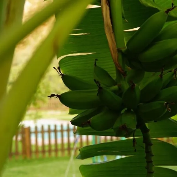 Tropical Studio, hotel en Órgiva