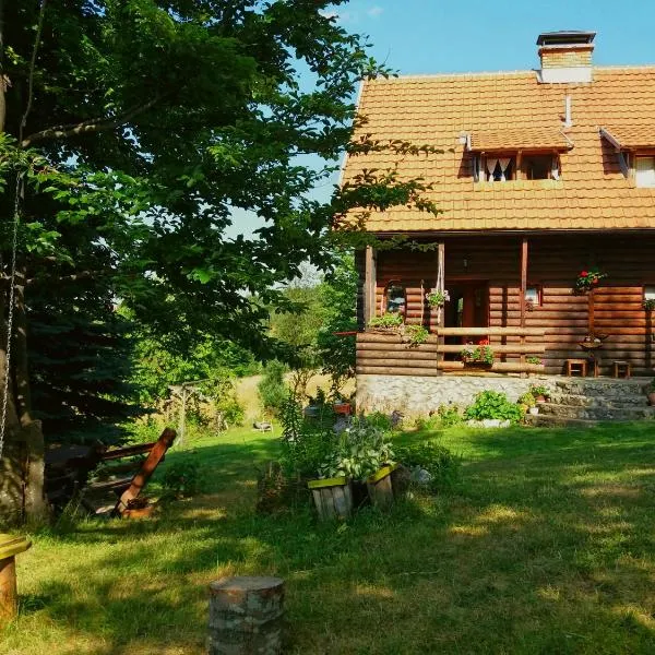 Mountain house, hotel in Mitrovac