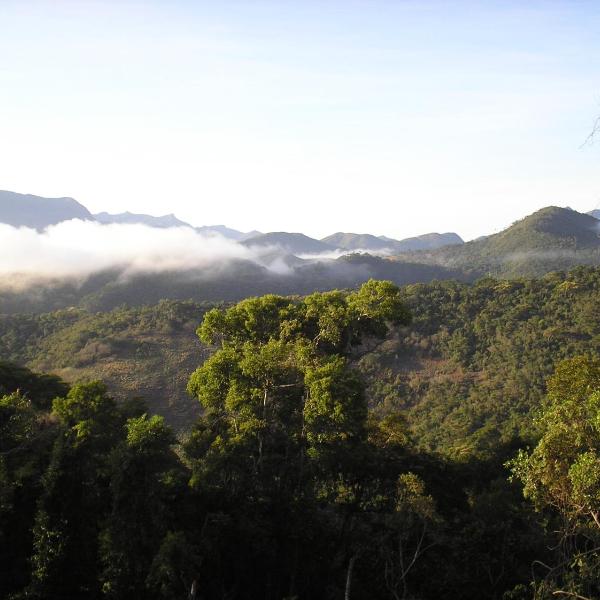Suites em meio a Mata Atlântica - Foto 5