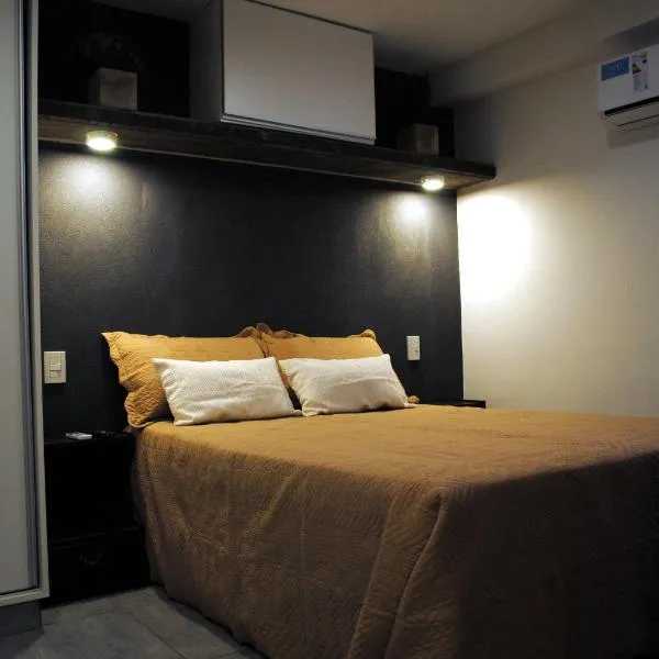 Darwin Apart Hotel, hotel in Salta