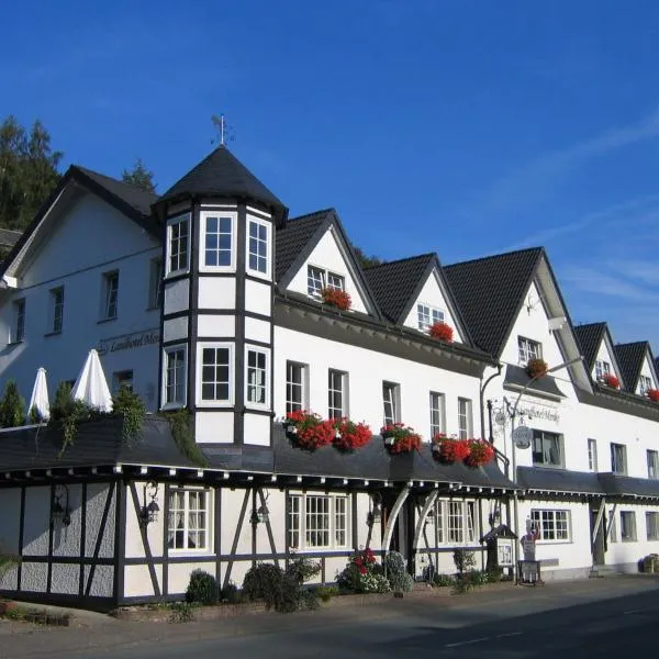 Landhotel Menke, hotel v destinaci Brilon