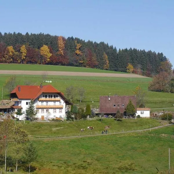 Dischhof, hotel v destinaci Biederbach Baden-Württemberg