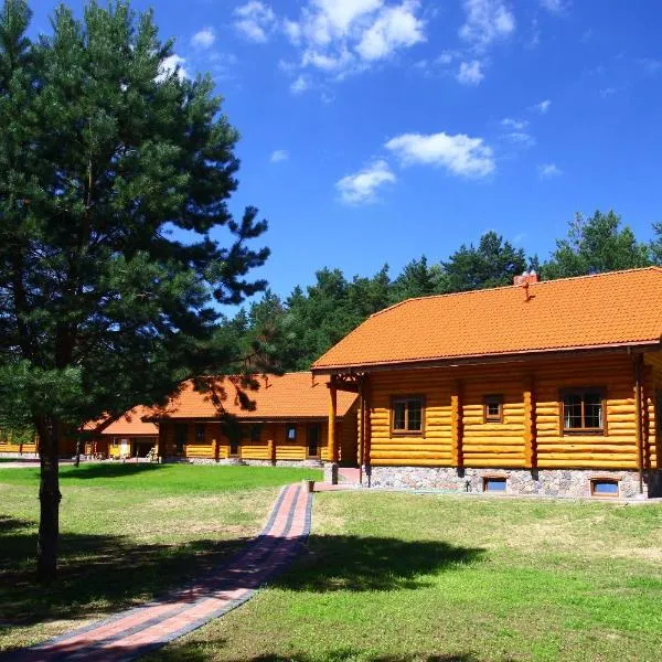 Asvejos slenis, hotel in Sužionys