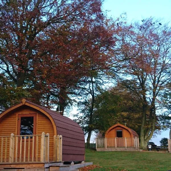 Drumshademuir Caravan & Camping Park、Glamisのホテル