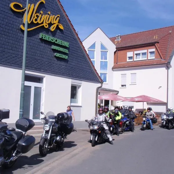 威寧蘭德酒店，Breitenbach的飯店