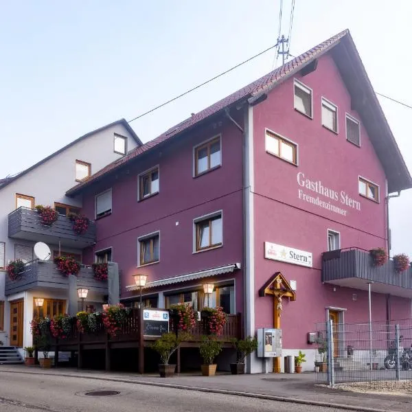 Hotel Gasthof Stern, hotel in Wehingen