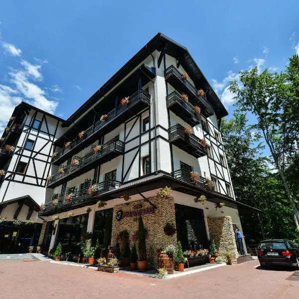 Hotel Posada Vidraru, hotel en Căpăţîneni-Ungureni