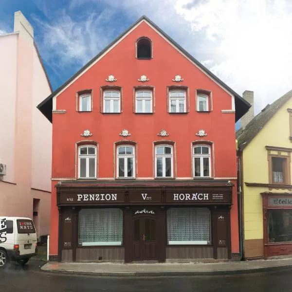 Penzion V Horách, hotel en Stříbrná