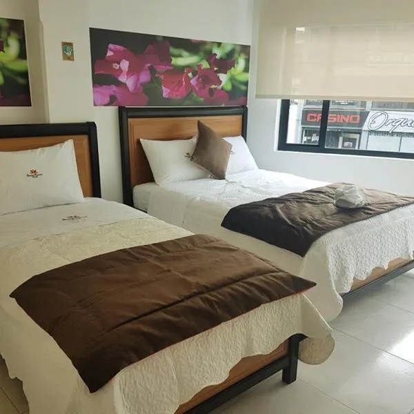Hotel Santa Monica、フサガスガのホテル