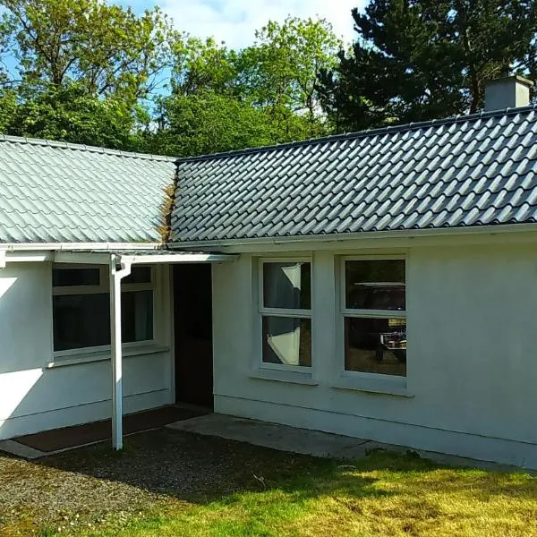 Cosy Lakeside Cottage John's hollow, hotel in Headford