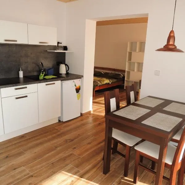 Apartmán 7, hotel em Stozec