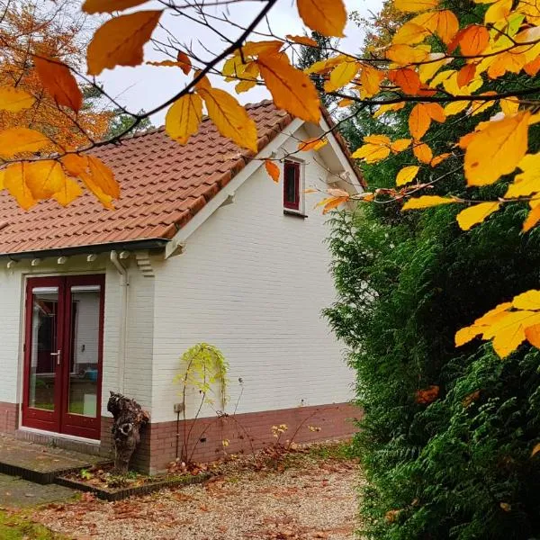 Dennenhuis, hotel in Vaassen