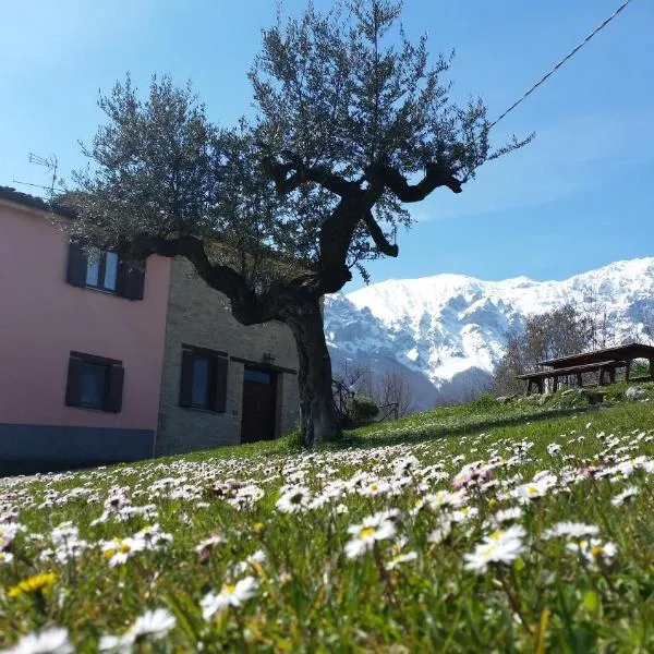 La via del parco, hotel in Bisenti