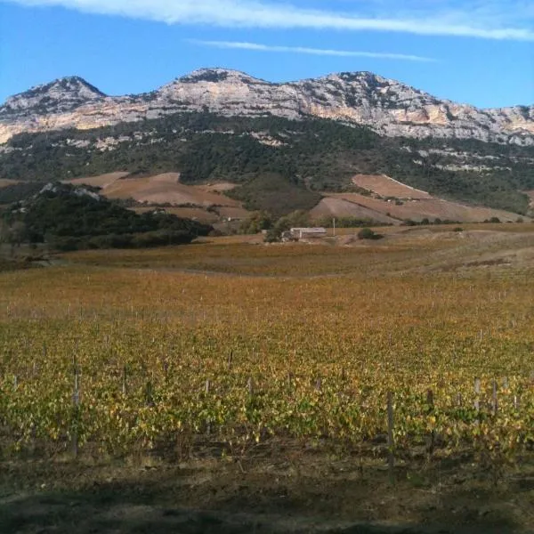Agréable Location au coeur du vignoble DOMINICI THERESE, Hotel in Patrimonio