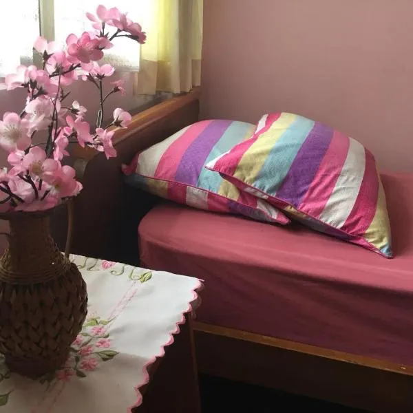 Astani Family Home, hotel v destinaci Bukittinggi