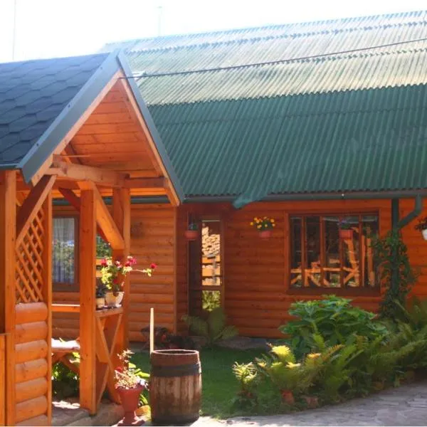 Friendly House, hotel in Kolomiya