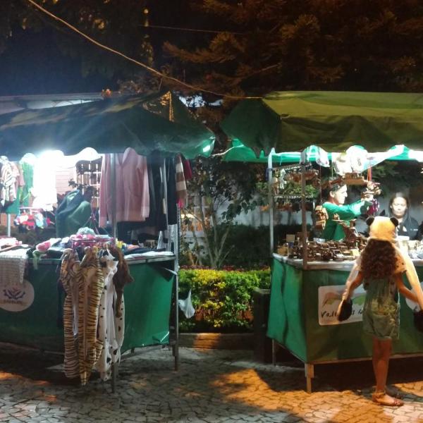 LINDO CHALÉ NO CENTRO DE GUARAMIRANGA - Foto 5