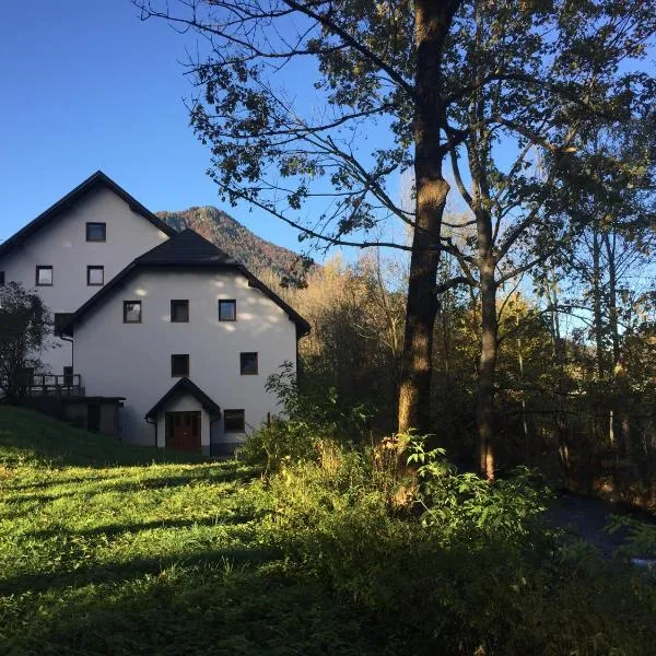 Youth Hostel Nika, hotel v destinaci Kranjska Gora
