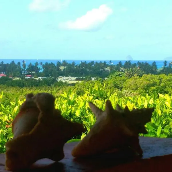 Studios Carribean Sea View, hotel a Sainte-Anne