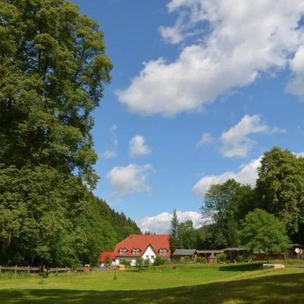 Zur Sommerfrische Lothramühle, hotel v destinaci Drognitz