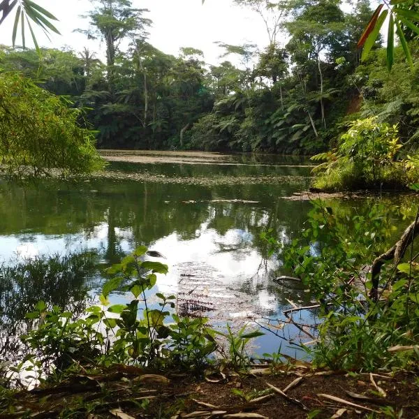 Rainforest Eco Lodge, hotel in Lami