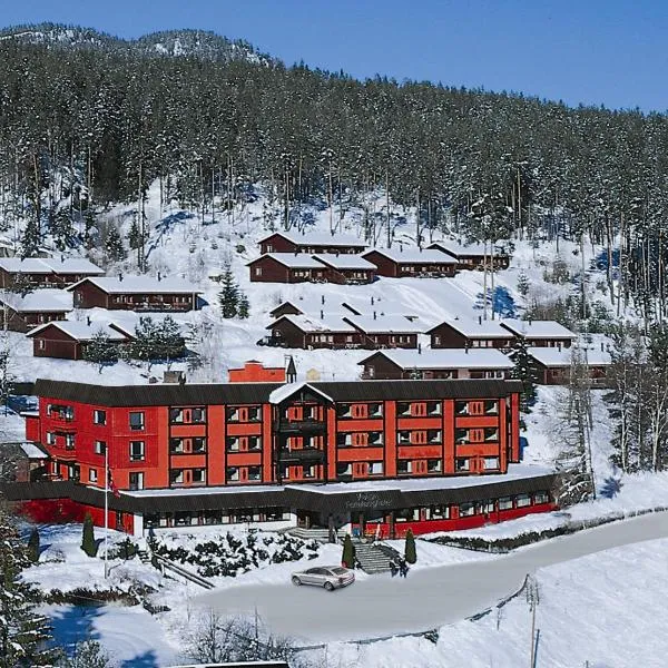 Vrådal Ferieleiligheter, hotel in Vradal