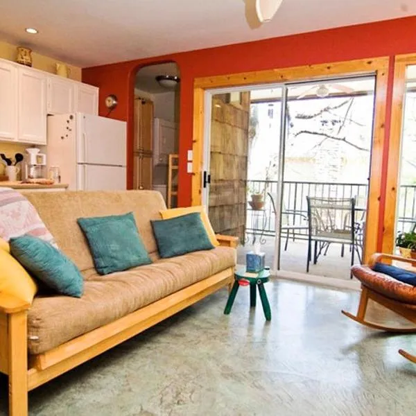 Barton Hills Condo, hotel v destinaci Austin