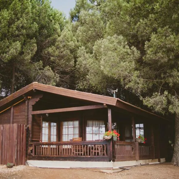 Kibbutz Ortal Tourism, hotel em Ortal
