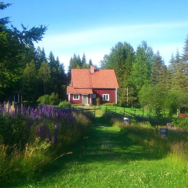 Skogslyckan, hotel v destinaci Orsa