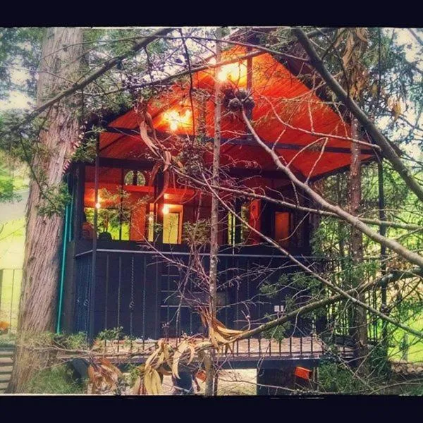 Casa En El Arbol、Pescaのホテル