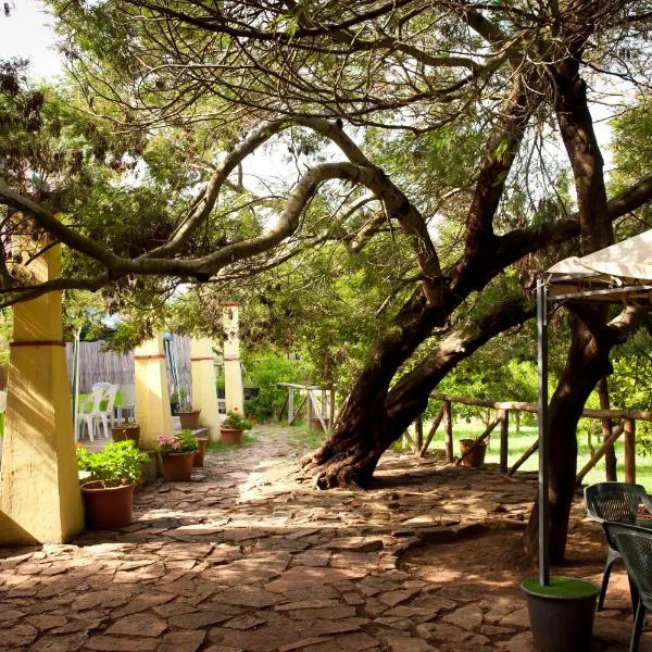 Agriturismo Menhir, hotel in Villagrande Strisaili