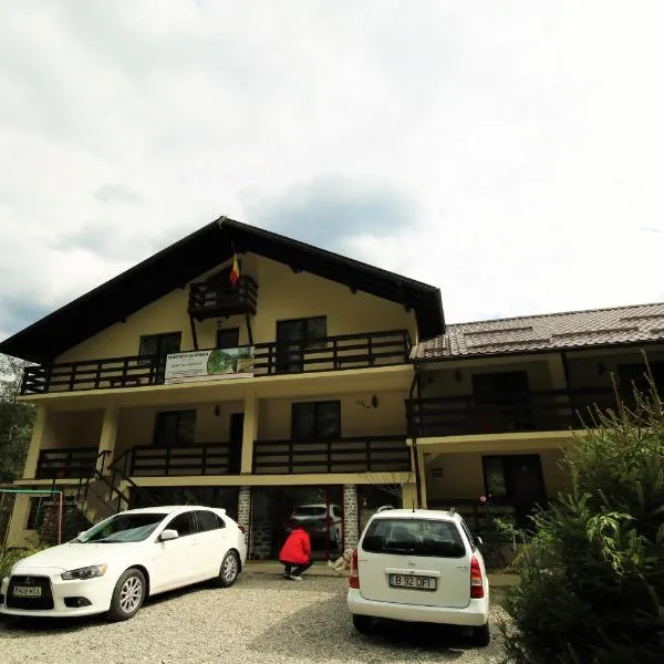 Pensiunea Ciobanelu, hotel Málaházán