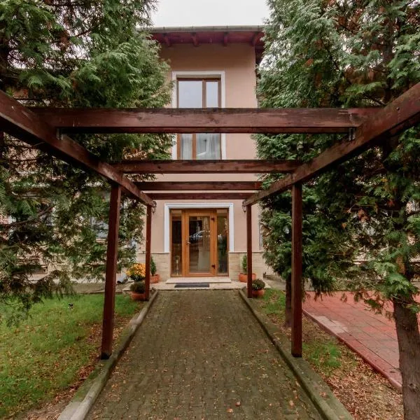 Williams House, hotelli kohteessa Băcia